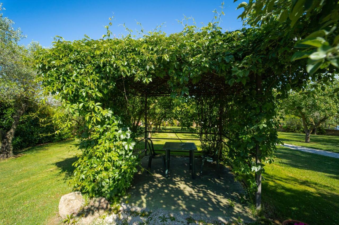 Agriturismo Zugarelli Anguillara Sabazia Exterior foto