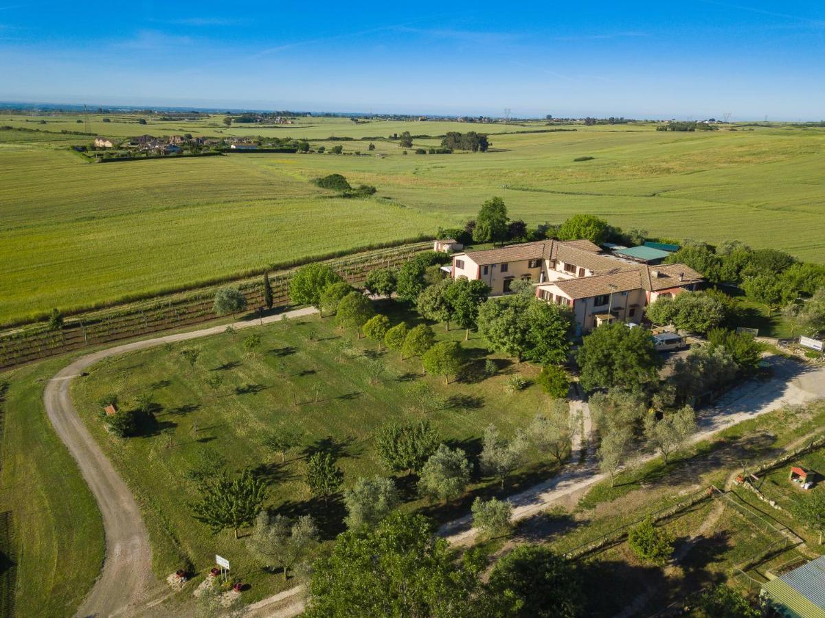 Agriturismo Zugarelli Anguillara Sabazia Exterior foto